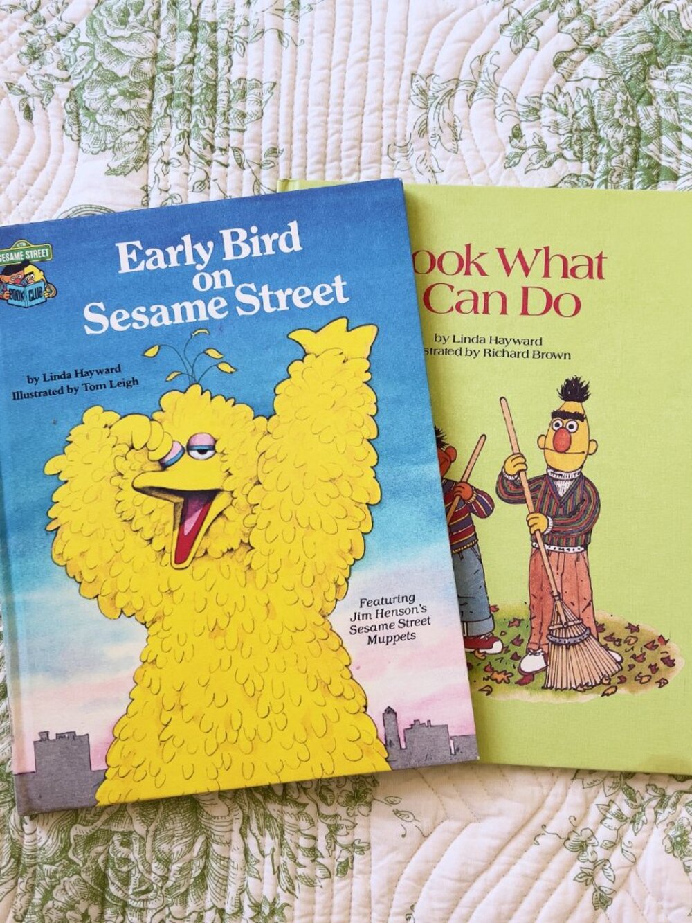 Vintage Sesame Street Books by Linda Hayward